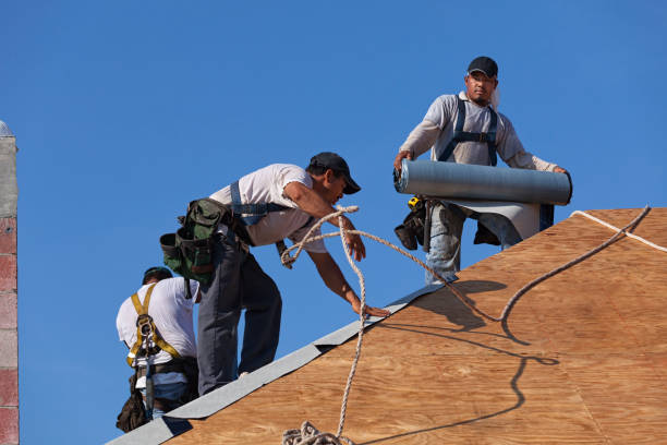 Best Roof Gutter Cleaning  in Vine Hill, CA